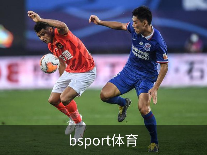 关于bsport体育